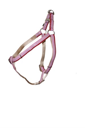 Sele Dandy Reflex Rosa 25/80-100