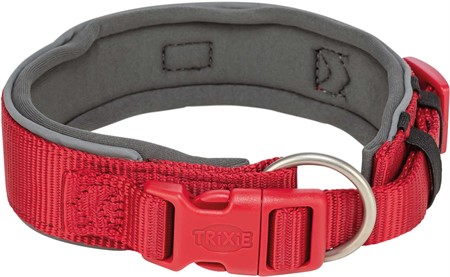 Premium halsband, X-bred, XS-S: 27-35 cm/25 mm, röd/grafit