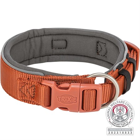 Premium halsband, X-bred, XS-S: 27-35 cm/25 mm, rost/grafit