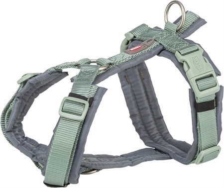 Premium spårsele, XS-S: 32-38 cm/13 mm, sage/grafit