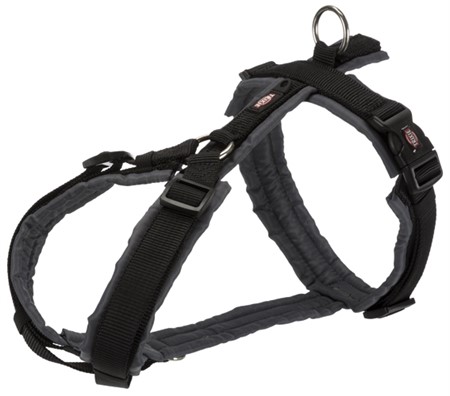 Premium spårsele, S: 36-44 cm/15 mm, svart/grafit