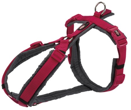 (BV)Premium spårsele, S-M: 44-53 cm/20 mm, fuchsia/grafit