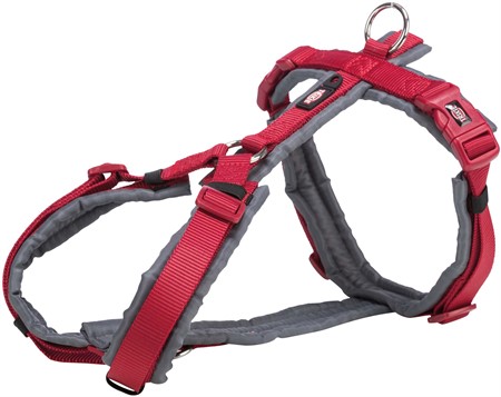 Premium spårsele, S: 36-44 cm/15 mm, röd/grafit