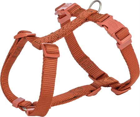 (BV)Premium H-sele, XS-S: 30-44 cm/10 mm, rost