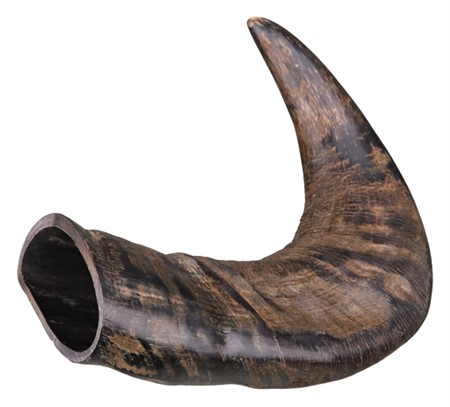 Tugghorn buffel M
