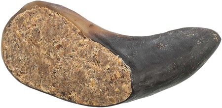 Tugghorn buffel, fylld, 10-14 cm