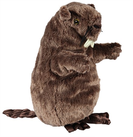 Bäver, 27 cm