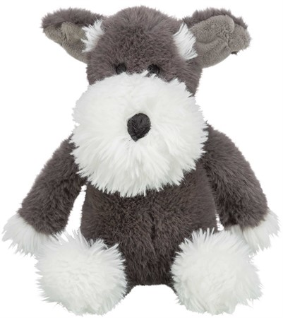 Schnauzer, 38 cm, grå