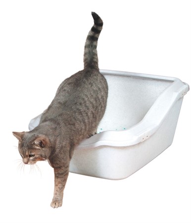 Spänne till 4037 Cleanycat Granite