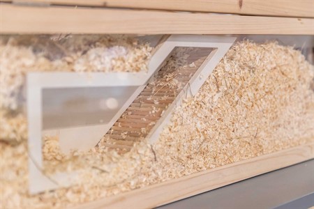 Insynsbox med tunnel, 36 × 17 cm