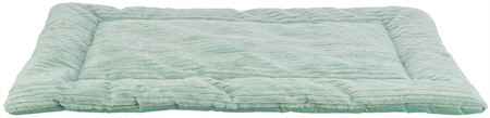 (BV)Dyna Jonna, 70 × 50 cm, sage