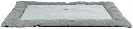 (BV)Dyna Viviana, 95 × 65 cm, blå-grå