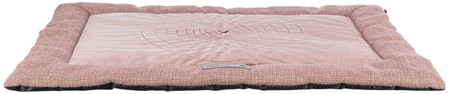 (BV)Dyna Viviana, 95 × 65 cm, rosa