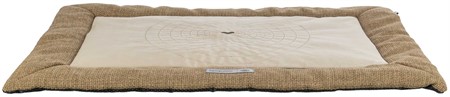 (BV)Dyna Viviana, 95 × 65 cm, brun
