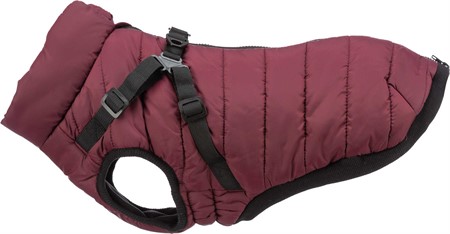 Vintertäcke m. sele Pirou, XXS: 24 cm, sangria