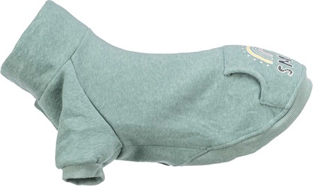 Sweatshirt Littleton, XXS: 18 cm, mint