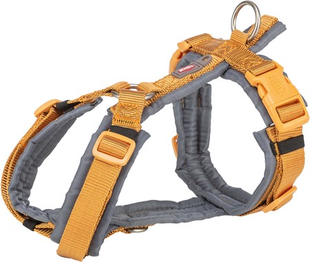 (BV)Premium spårsele, XS-S: 32-38 cm/13 mm, curry/grafit