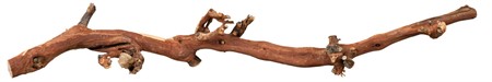 Vinranka, blästrad, L: 40-60 cm