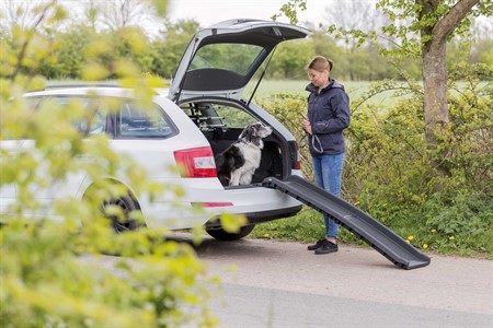 Ramp Petwalk, hopfällbar, 40 x 156 cm, plast, svart, upp till 90 kg