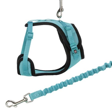 Y-sele, katt, med elastiskt koppel, 39-60 cm/10 mm, 100 cm
