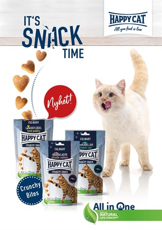 HC Salesfolder Crunchy Snacks SE