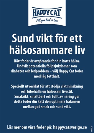 HC-Vippa-A6-Bantningstext