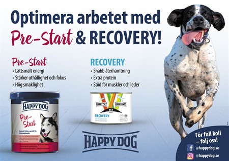HD-A3L-PreStart-Recovery