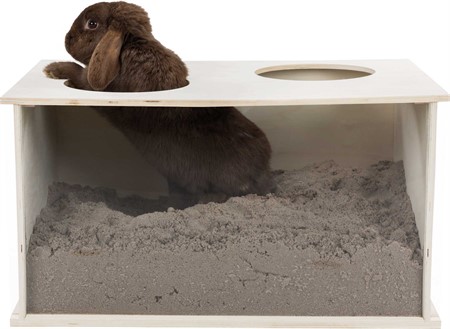 Grävlåda med plexifront för kanin,58 × 30 × 38 cm