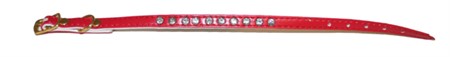 Z Halsband hund/katt m strass 25 cm sort frg