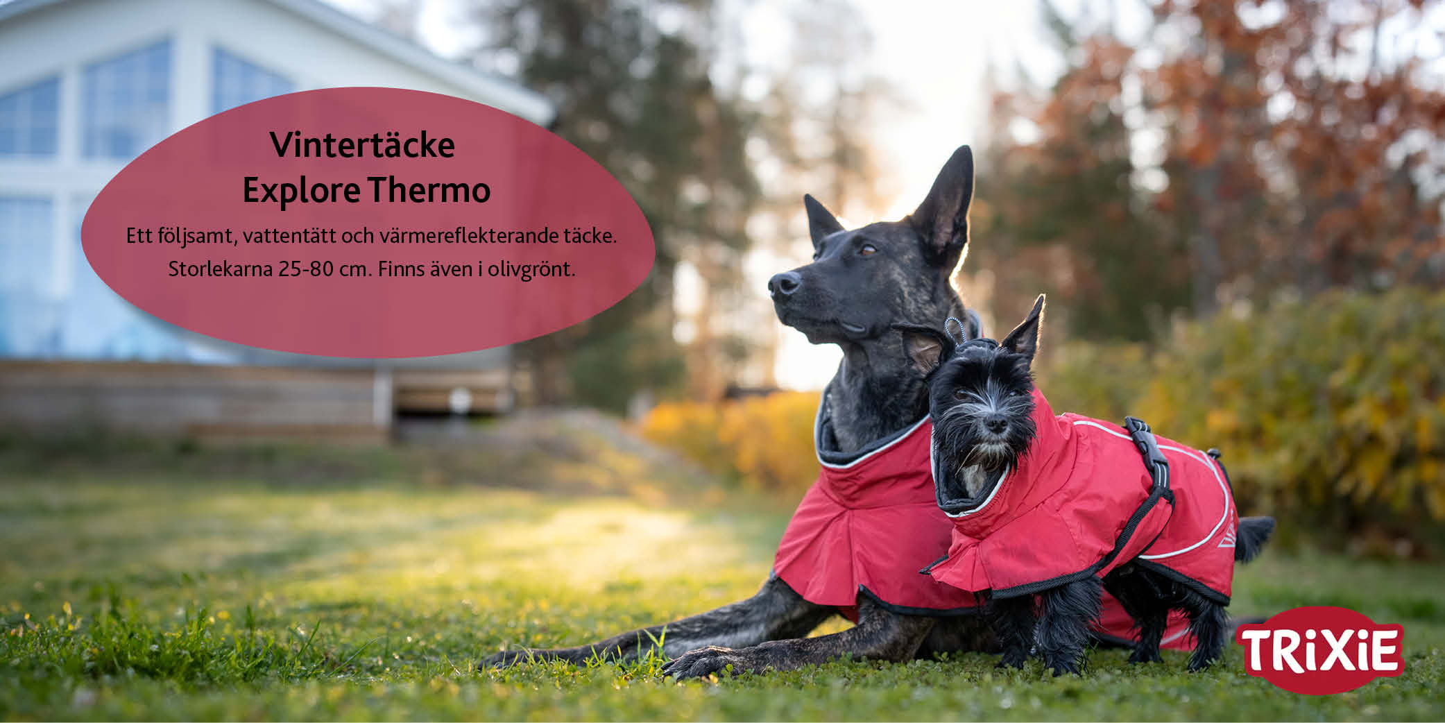 Annons:7 04_explore.jpg