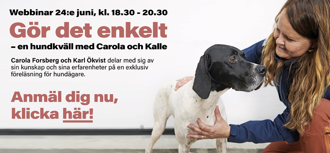 Annons:3 banner-gor-det-enkelt-1080px.jpg